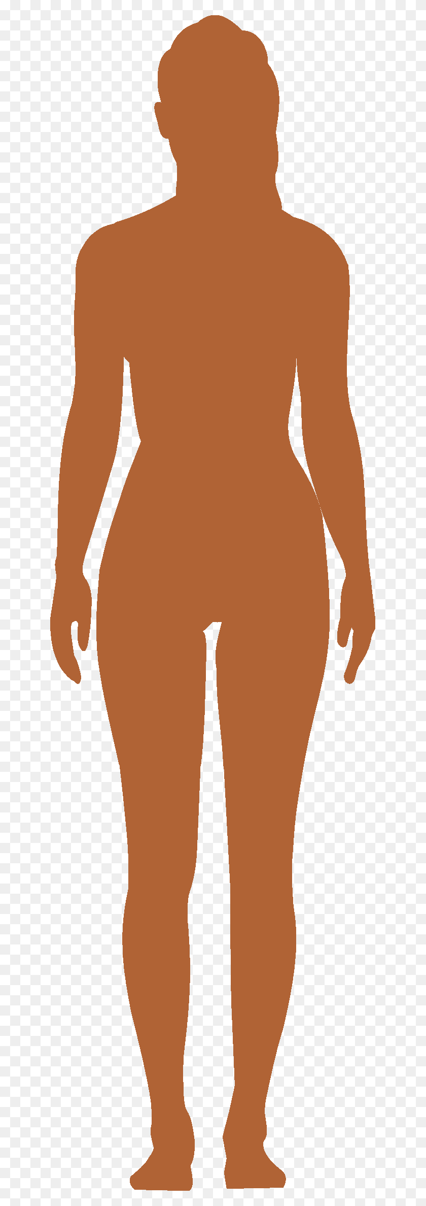 641x2315 Body Picture Female Body Vector, Clothing, Apparel, Pants HD PNG Download