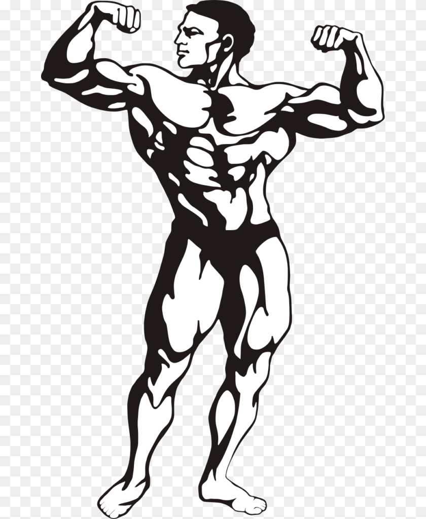 Bodybuilder Vector Drawn Clipart Winging, Stencil, Adult, Male, Man PNG