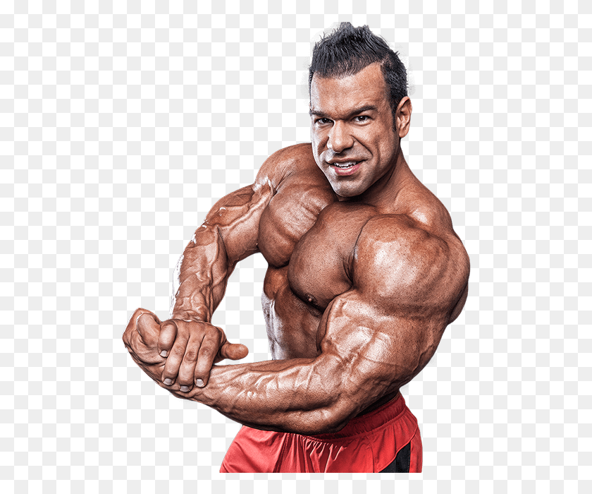 496x640 Bodybuilding, Arm, Person, Human HD PNG Download