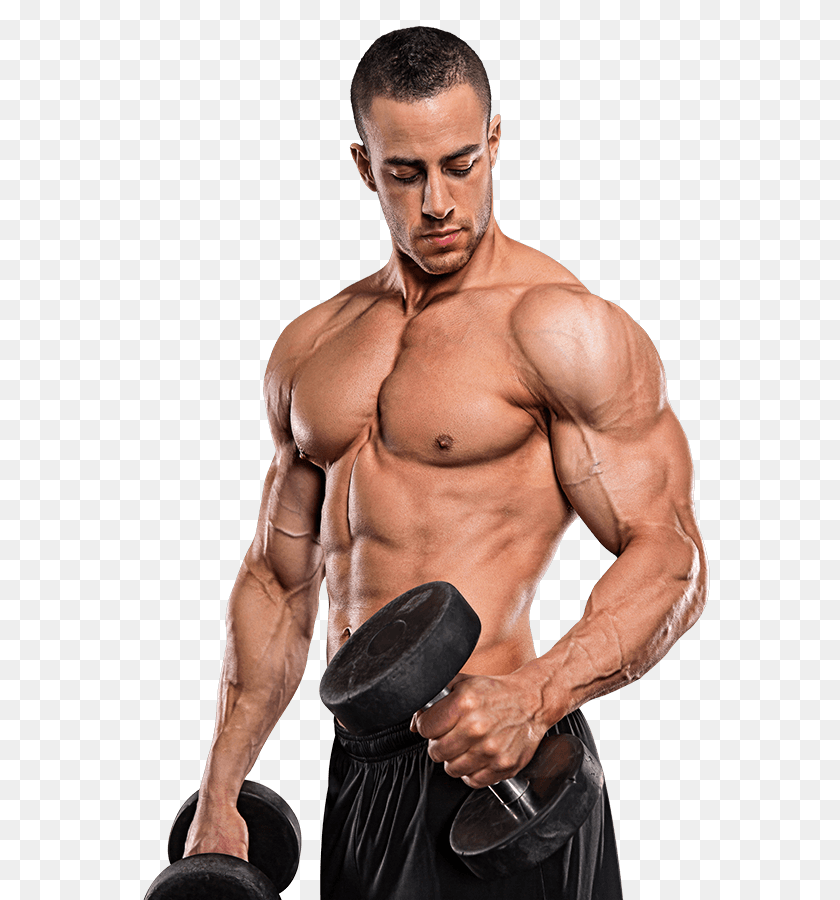 600x900 Bodybuilding, Adult, Sport, Person, Man Sticker PNG