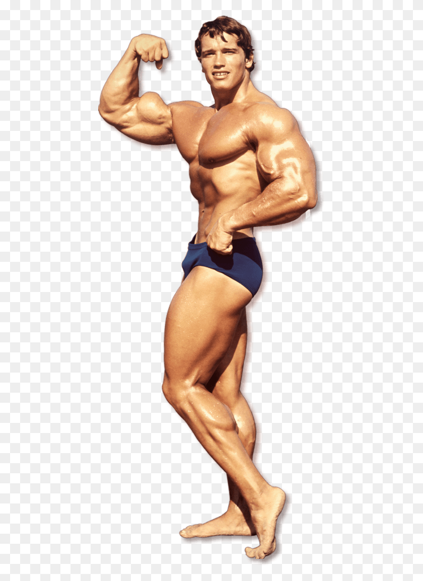 450x1094 Bodybuilding File Arnold Schwarzenegger, Arm, Person, Human HD PNG Download