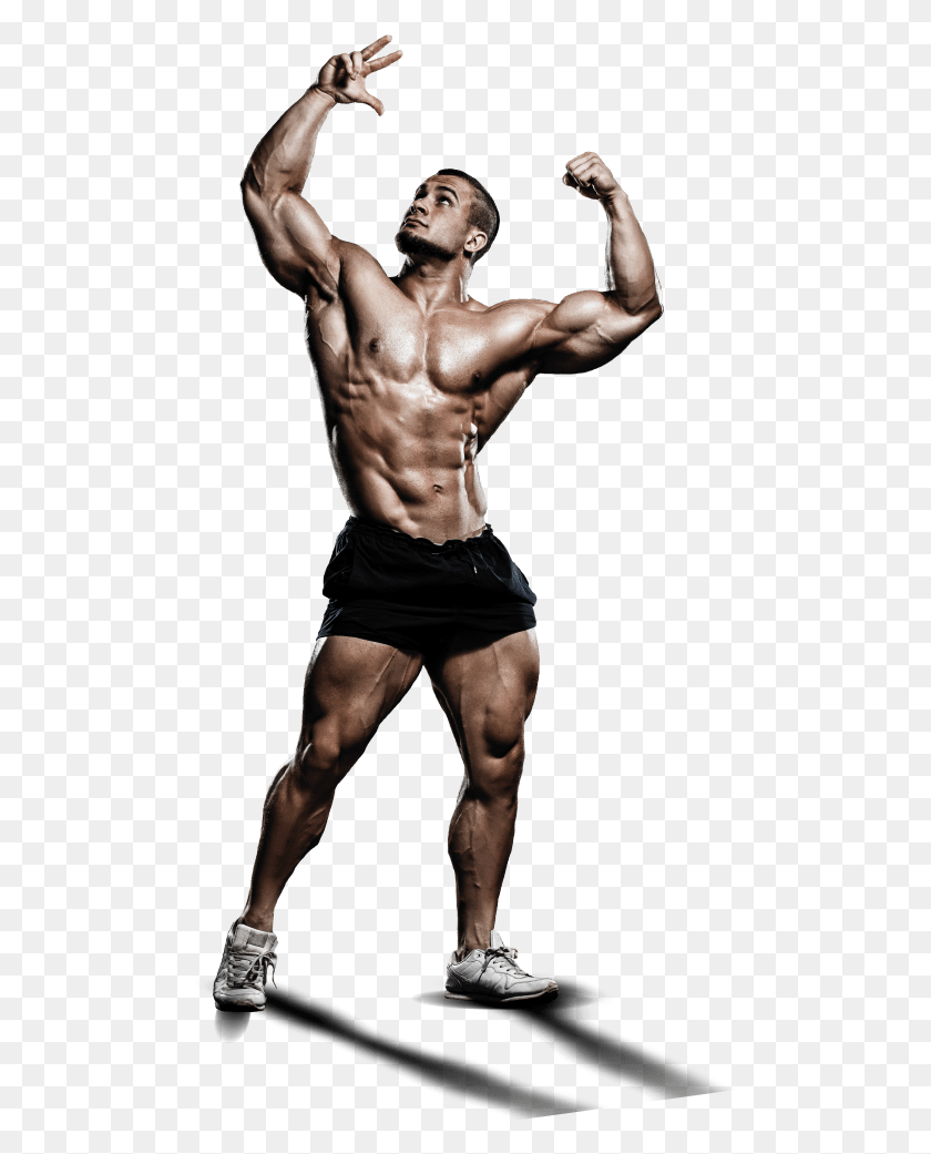 489x981 Bodybuilding Fitness And Figure Competition, Person, Human, Arm HD PNG Download