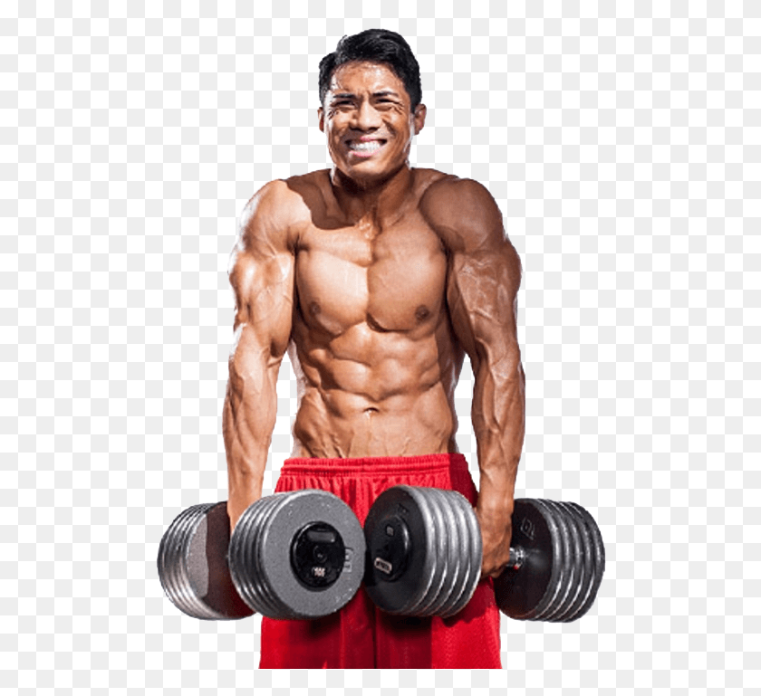 498x709 Bodybuilding Free Images Bodybuilding Beginner, Person, Human, Fitness HD PNG Download