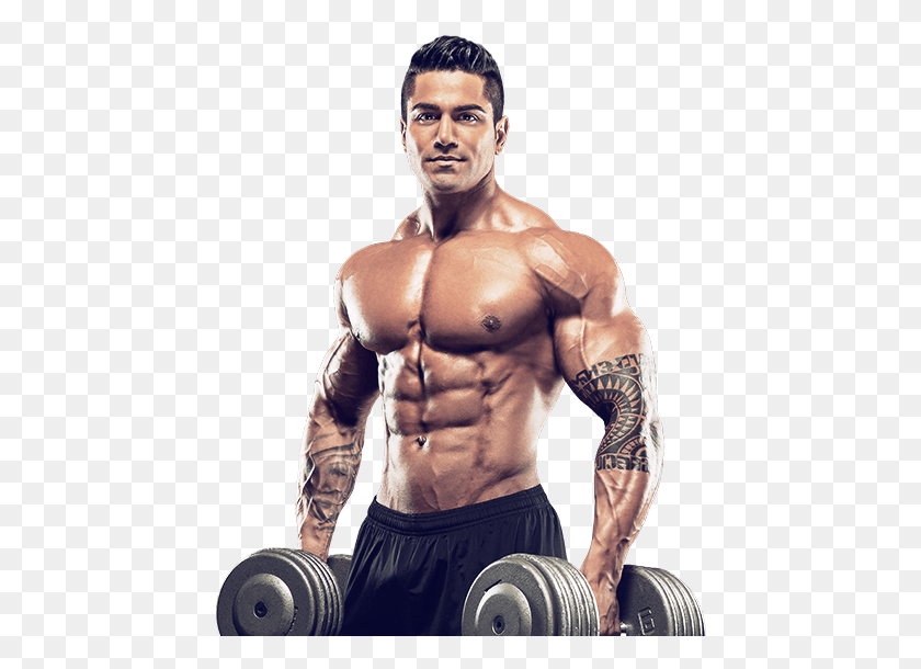 448x550 Bodybuilding Muscletech Testosterone Before And After, Person, Human, Working Out HD PNG Download