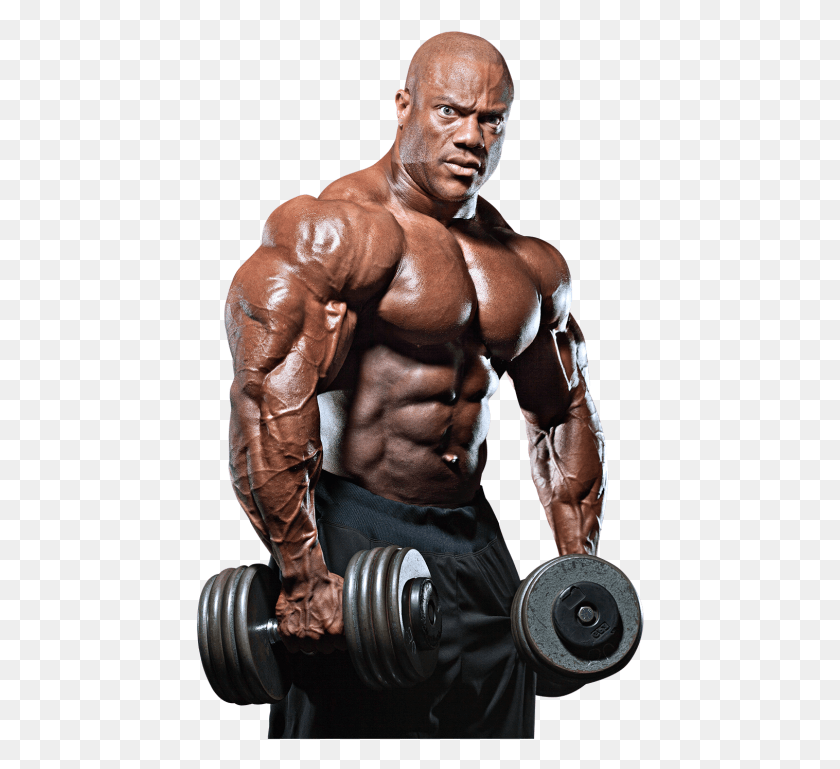 449x709 Bodybuilding Transparent Phil Heath, Person, Human, Fitness HD PNG Download