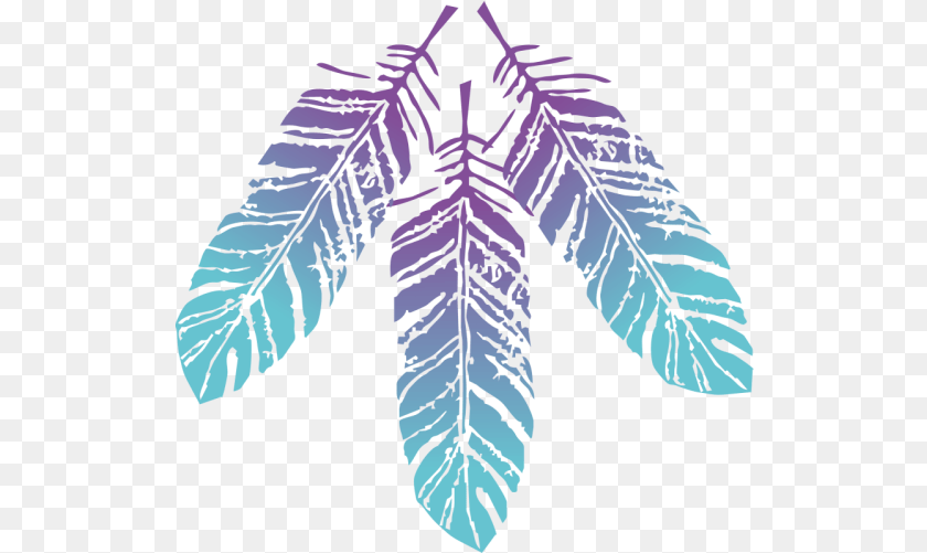 525x501 Boho Feathers By Alise Inktale Logo, Leaf, Plant, Vegetation, Purple Transparent PNG