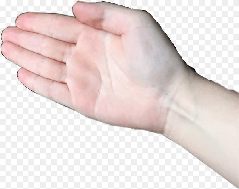 Boi Hand Meme, Body Part, Finger, Person, Wrist PNG