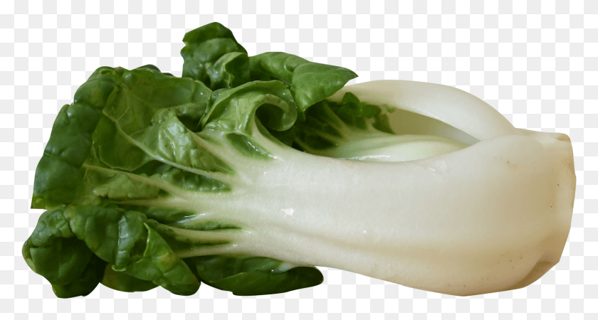 1682x842 Bok Choy, Plant, Vegetable, Food HD PNG Download