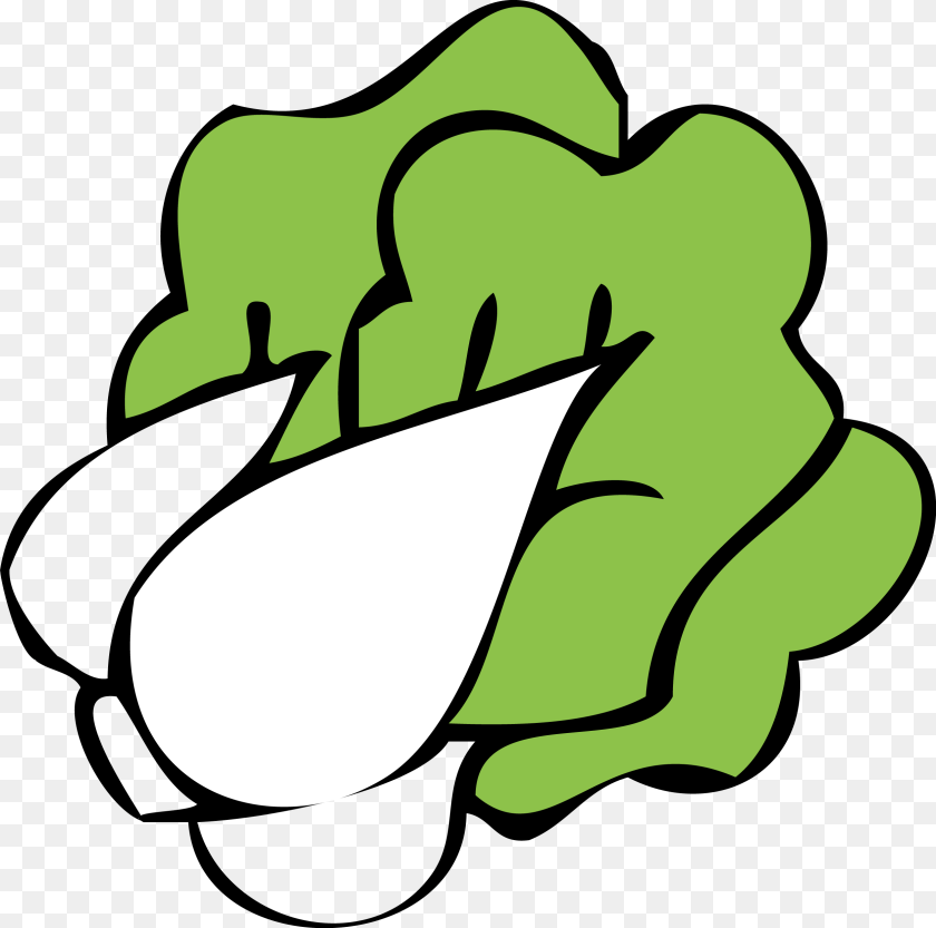 2502x2480 Bok Choy Clipart, Green, Person, Body Part, Hand PNG