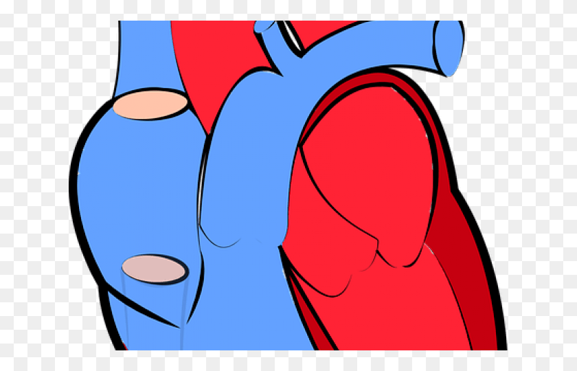 640x480 Бок Чой Зима Прозрачное Сердце Человека Клипарт, Рука, Текст Hd Png Скачать