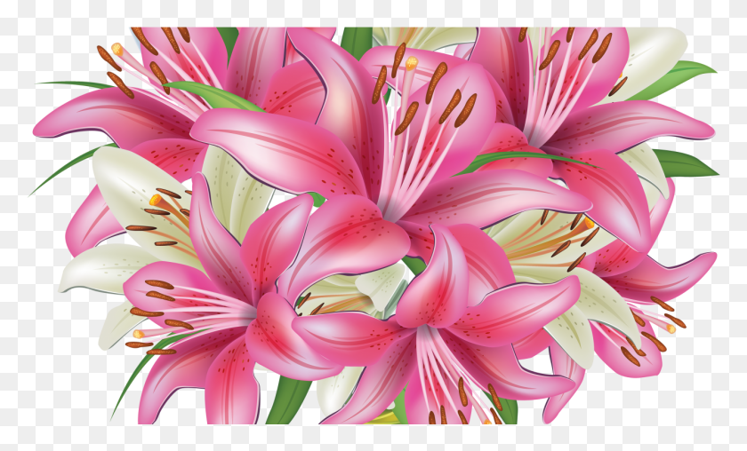 1337x769 Bokeh, Plant, Flower, Blossom HD PNG Download