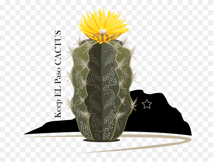 673x578 Descargar Png / Cactus, Piña Hd Png