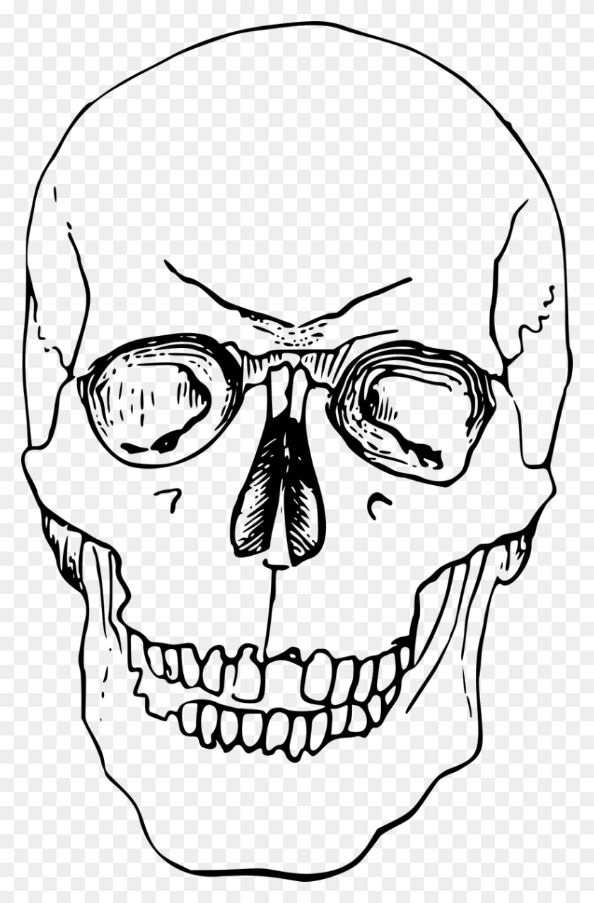 820x1280 Bone Dead Head Skeleton Skull Image Esqueleto, Gray, World Of Warcraft HD PNG Download