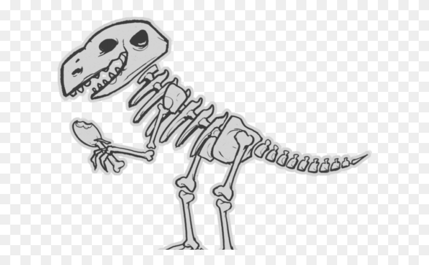 620x459 Bone Free On Dumielauxepices Net Dino Cartoon Dino Skeleton, Dinosaur, Reptile, Animal HD PNG Download
