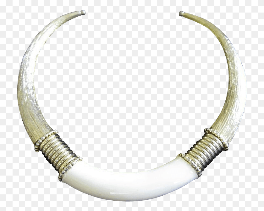 734x613 Bone Necklace Necklace, Horn, Brass Section, Musical Instrument Descargar Hd Png