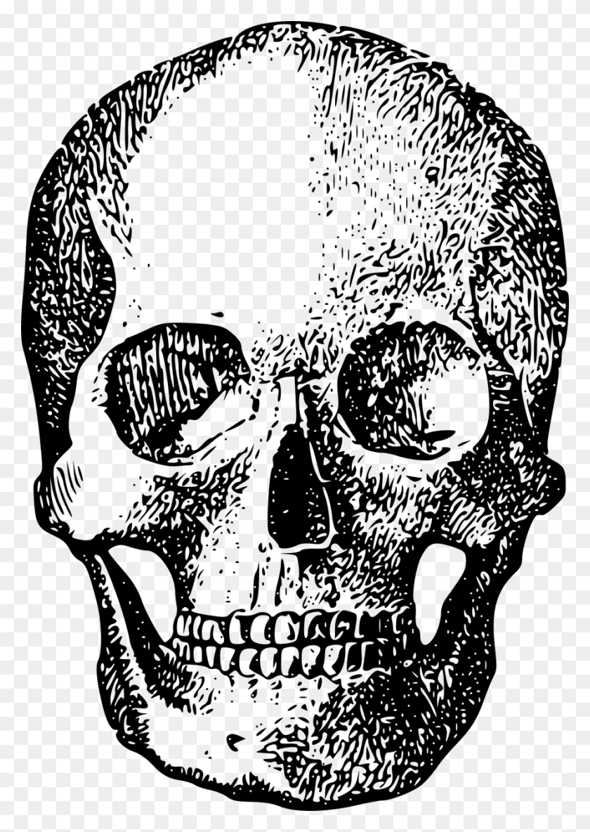 888x1280 Hueso Esqueleto Cráneo Imagen Calavera Veintiún Pilotos, Gris, World Of Warcraft Hd Png