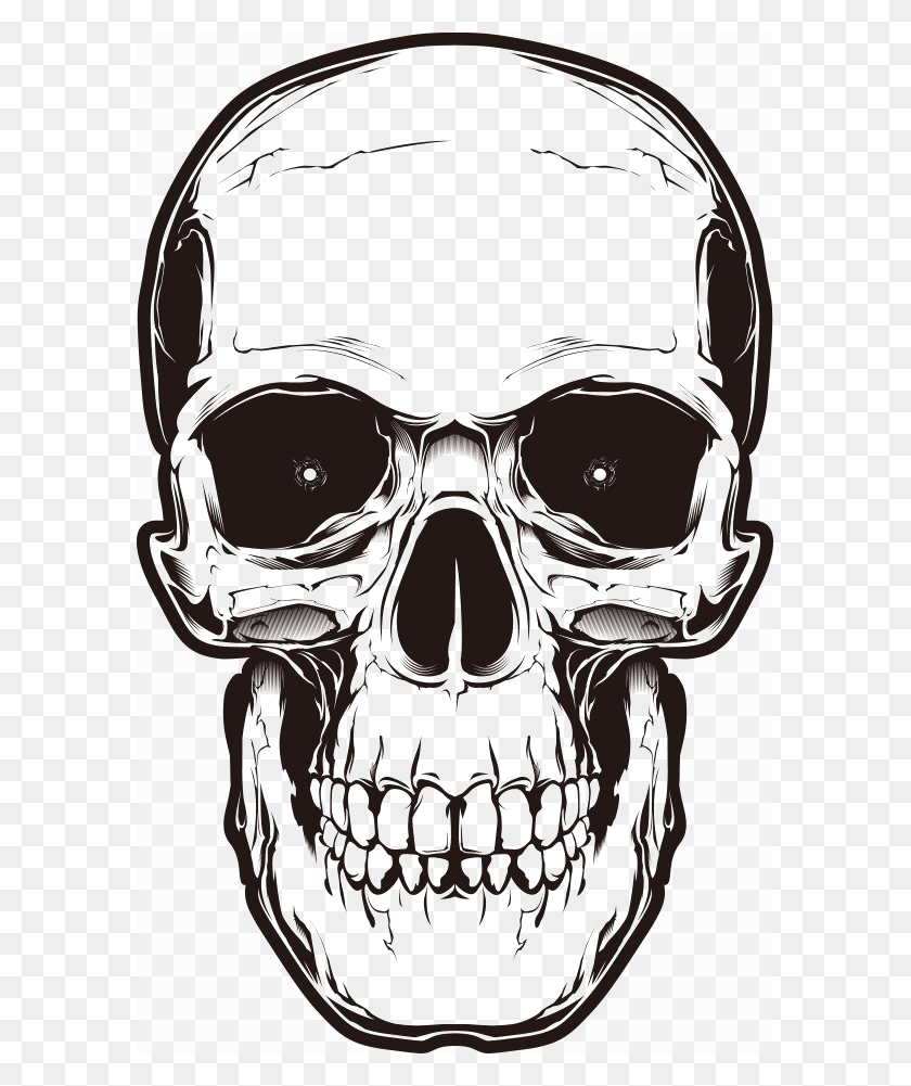 587x941 Bone Skull Image Background Skull Head Drawing Transparent Background, Person, Human, Helmet HD PNG Download