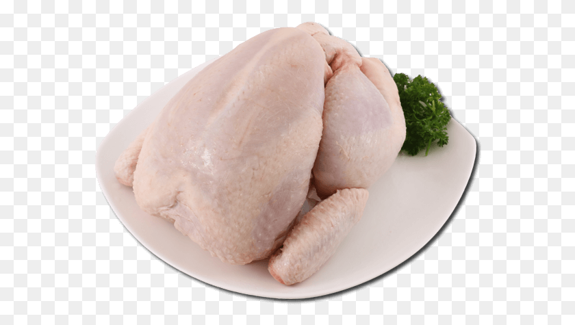 566x415 Boneless Skinless Chicken Thighs, Poultry, Fowl, Bird HD PNG Download