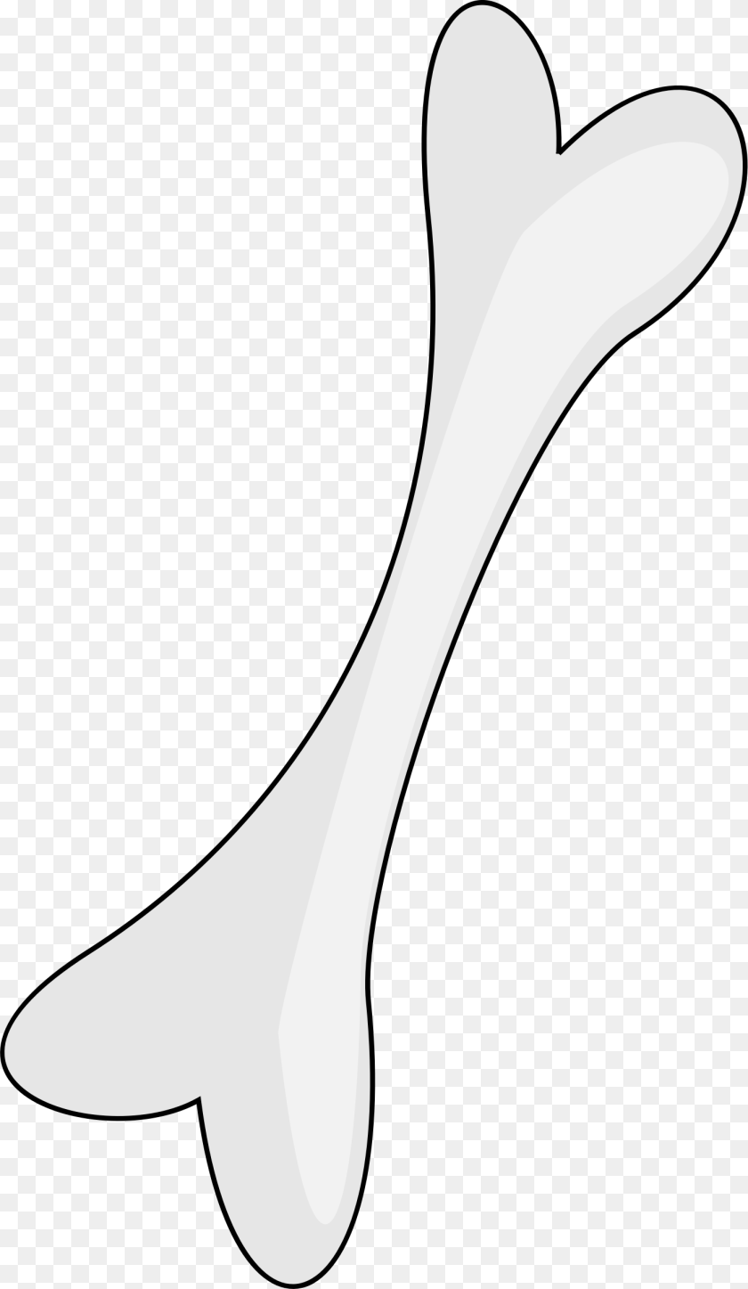 Bones Line Art, Cutlery, Fork, Spoon, Blade Transparent PNG
