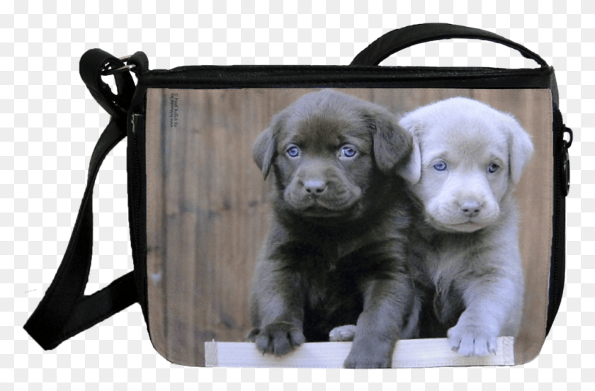 982x620 Bonnie Amp Clyde Shoulder Bag Synthetic Leather Labrador Retriever, Dog, Pet, Canine HD PNG Download