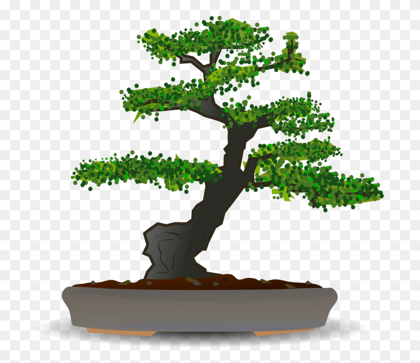 699x665 Bonsai Clip Art Bonsai Tree Clipart, Plant, Potted Plant, Vase HD PNG Download