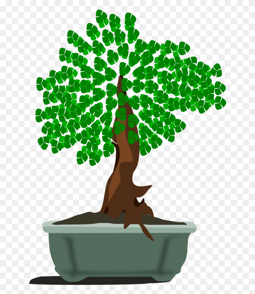 653x911 Bonsai Clipart Cool Tree, Plant, Root, Potted Plant HD PNG Download