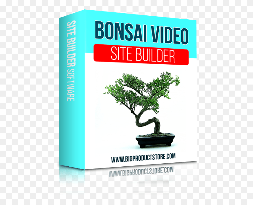 470x619 Bonsai Pots, Potted Plant, Plant, Vase HD PNG Download