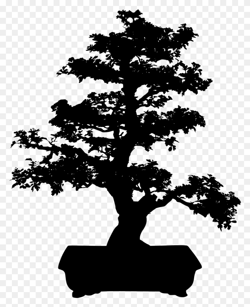 805x1002 Дерево Бонсай Черный И Белый, Серый, Мир Варкрафта Png Скачать