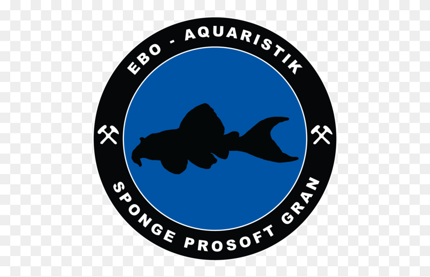 481x481 Bony Fish, Label, Text, Logo HD PNG Download