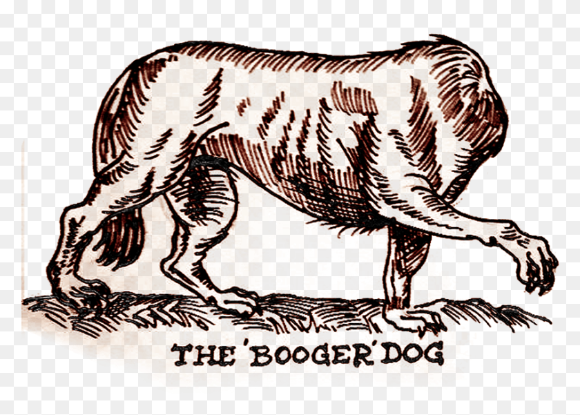 847x588 Booger Dog, Dinosaur, Reptile, Animal HD PNG Download
