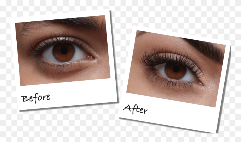 773x437 Book An Appointment Today For Your Lash Extensions Eyelash Extensions, Contact Lens, Face, Person HD PNG Download