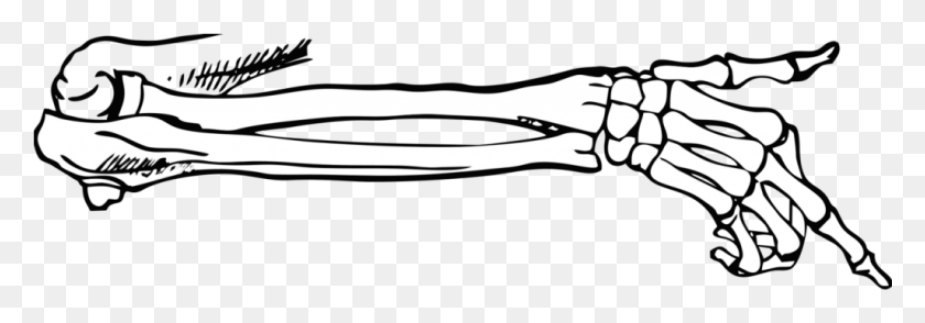 1025x308 Anatomía Del Libro 101 Partes Del Cuerpo Del Libro Por Joel Friedlander Esqueleto De La Mano Vector Apuntando, Arma, Arma, Arma Hd Png