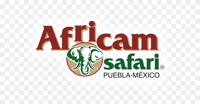 653x377 Book Now 500 Africam Safari, Label, Text, Food HD PNG Download