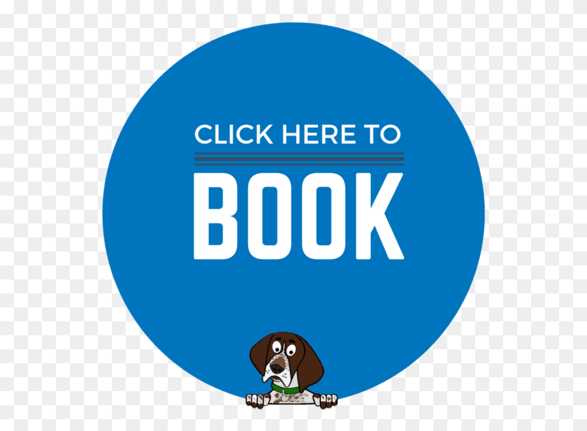 550x557 Book Now Button Shop All, Text, Ball, Word HD PNG Download