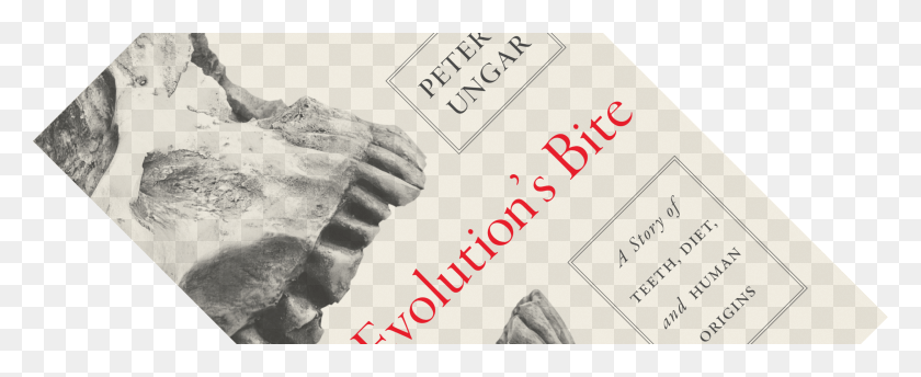 2932x1070 Book Review Evolution39s Bite Novel, Advertisement, Poster, Text HD PNG Download