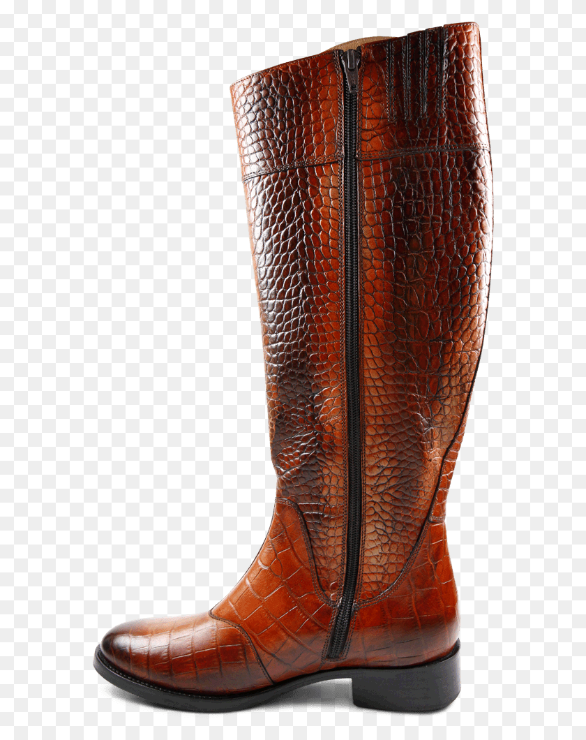 577x1000 Boots Milli 8 Croco Orange Hrs Knee High Boot, Clothing, Apparel, Footwear HD PNG Download