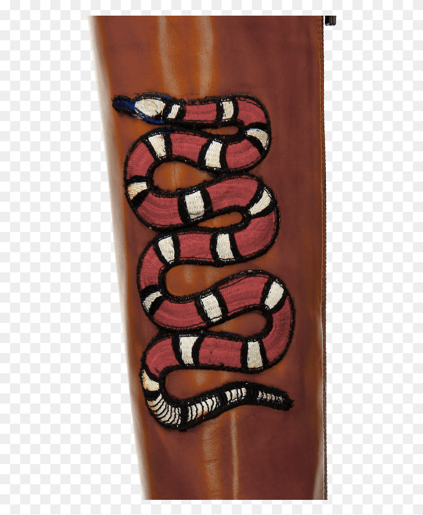496x961 Boots Sally 59 Wood Embrodery Snake New Hrs Thick Lip Gloss, King Snake, Reptile, Animal HD PNG Download