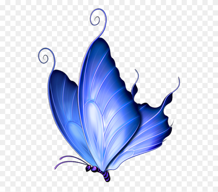 551x681 Borboletas Borboleta Azul Blue Butterfly Vector, Graphics, Pattern HD PNG Download