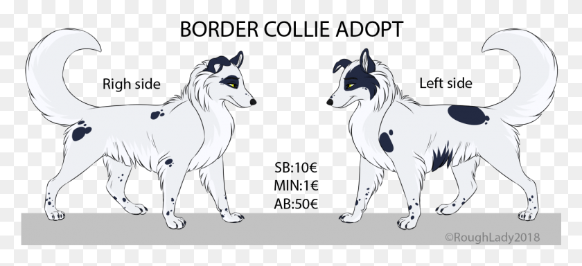 1291x537 Border Collie Adopt Closed Up, Animal, Mammal, Wolf HD PNG Download