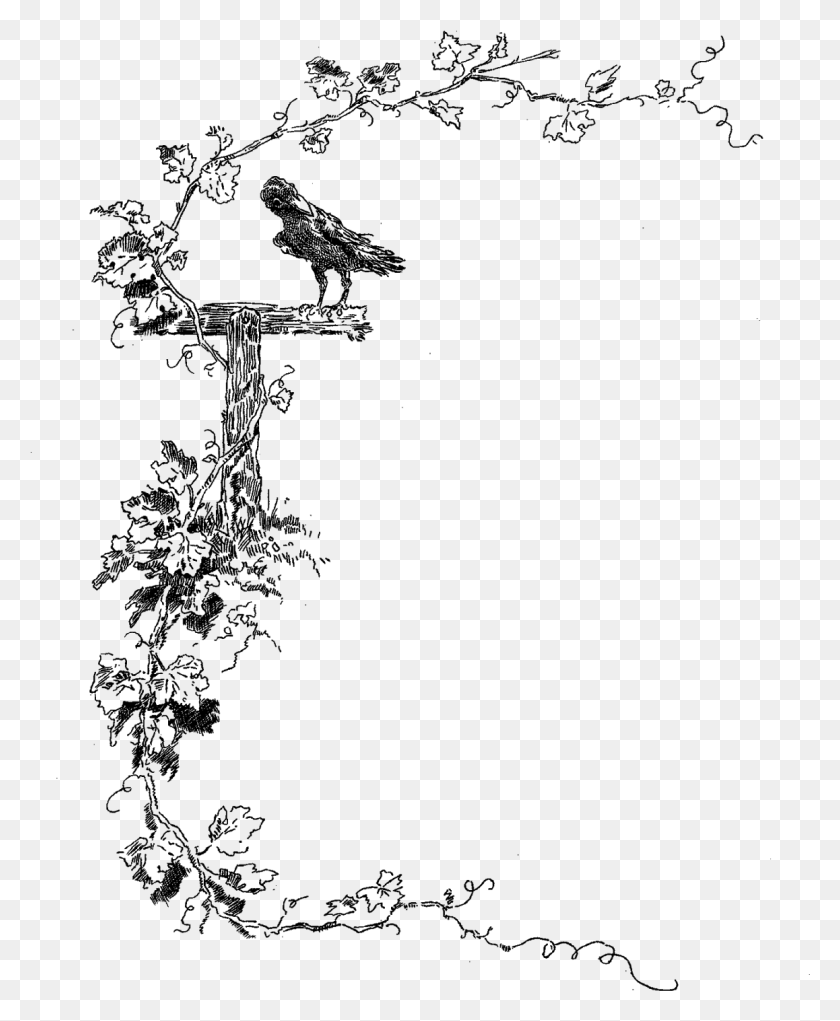 1158x1428 Граница Стоковое Изображение Ботаническая Птица Дизайн Границы, Природа, На Открытом Воздухе, Космическое Пространство Png Скачать
