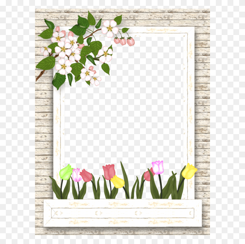 600x777 Borders For Paper Borders And Frames Papo Apple Tulip Frame, Plant, Flower, Blossom HD PNG Download
