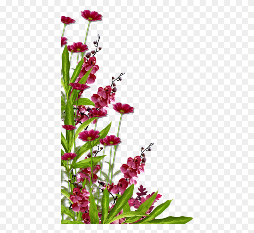438x711 Bordurestubes Coinscorners Flower, Plant, Blossom, Цветочная Композиция Png Скачать