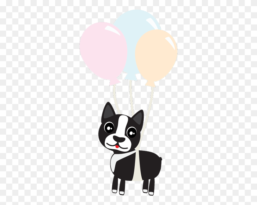 323x610 Boston Terrier Balloon, Ball, Cat, Pet HD PNG Download