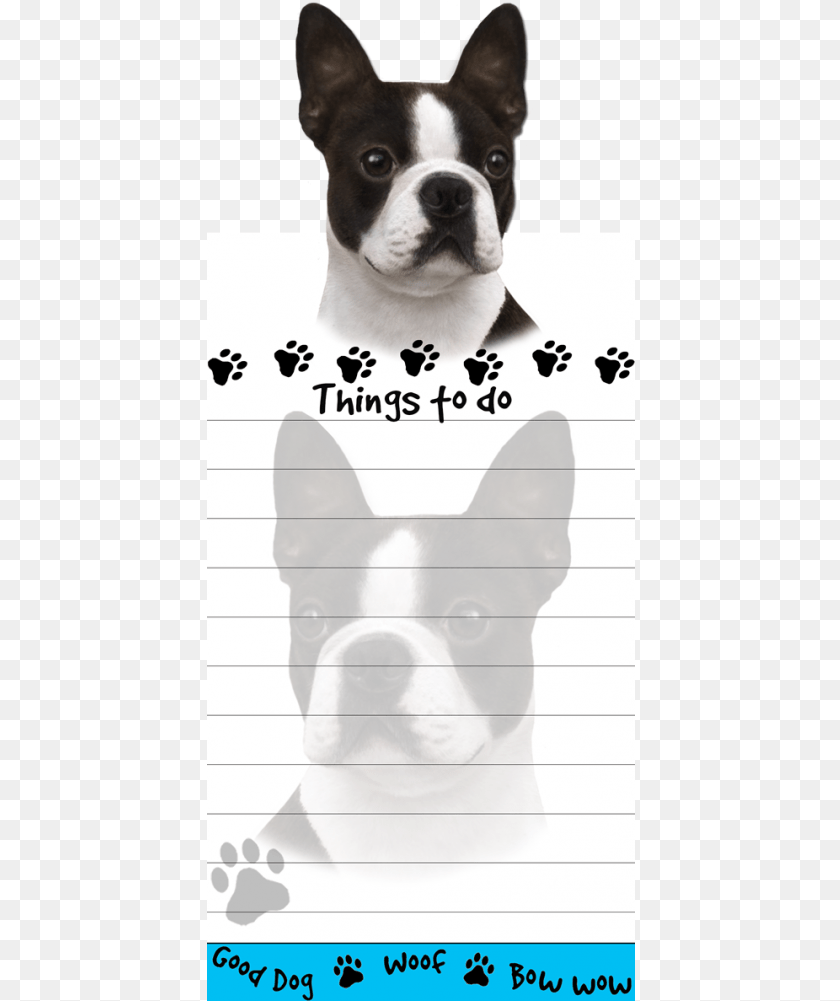 429x1001 Boston Terrier List Stationery Notepad Bundle 2 Items Boston Terrier Magnetic List Note, Animal, Bulldog, Canine, Dog Sticker PNG