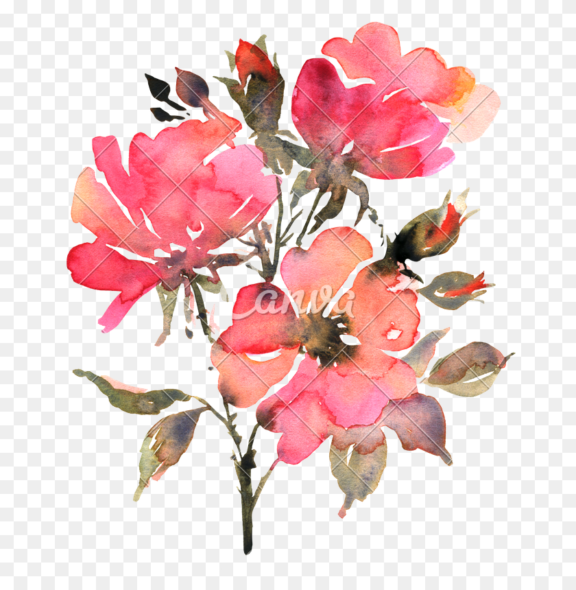 665x800 Ботаническая Картина С Красными Красными Цветами Акварель Прозрачный, Растение, Цветок, Цветение Png Скачать