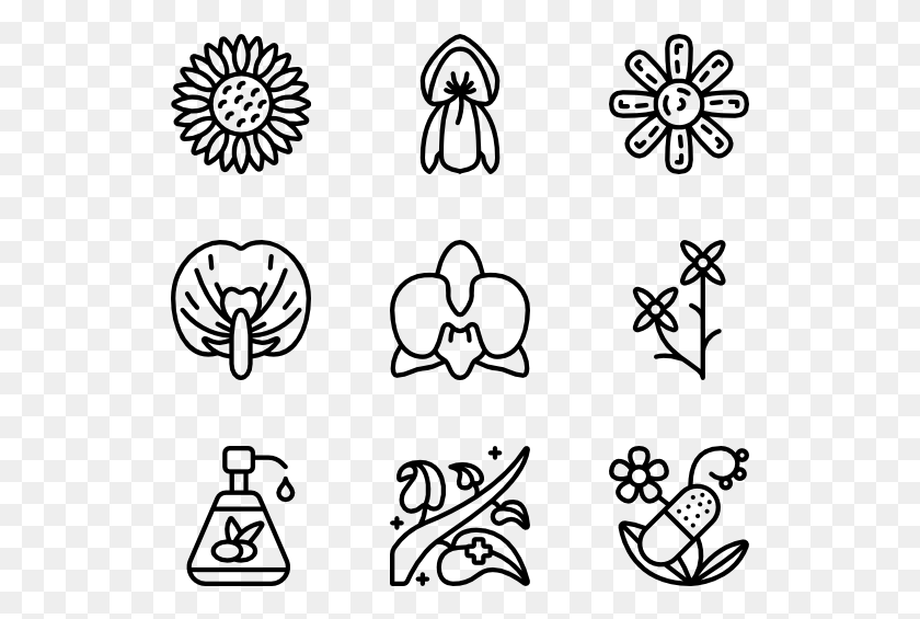 529x505 Botanicals Friends Icon Transparent Background, Gray, World Of Warcraft HD PNG Download