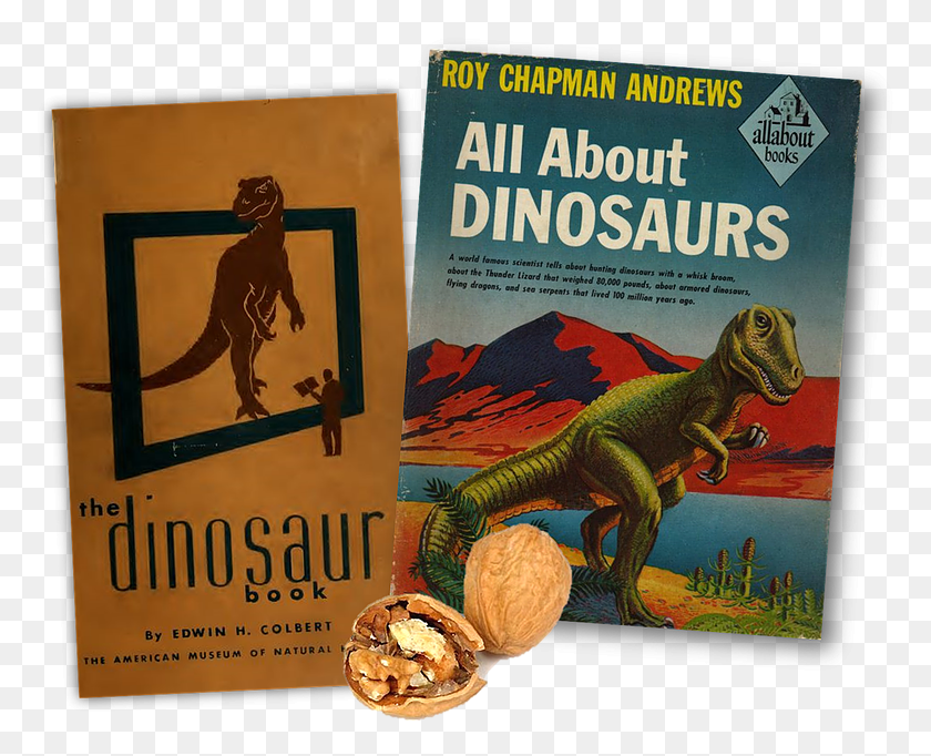 777x622 Обе Книги Грецкий Орех, Динозавр, Рептилия, Животное Hd Png Скачать