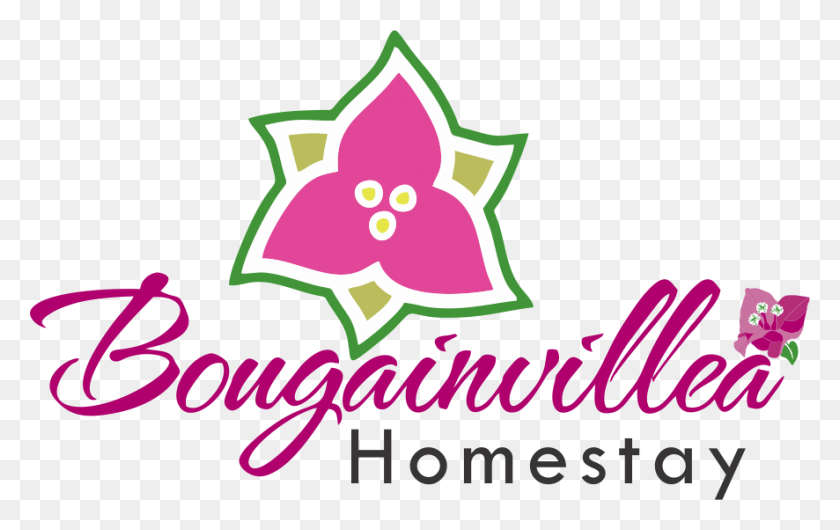 886x534 Bougainvillea Agua, Pattern, Text, Symbol HD PNG Download