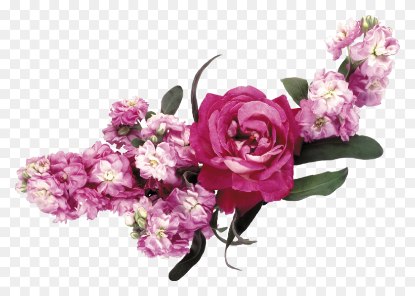 1024x708 Bouquet, Plant, Flower, Blossom HD PNG Download