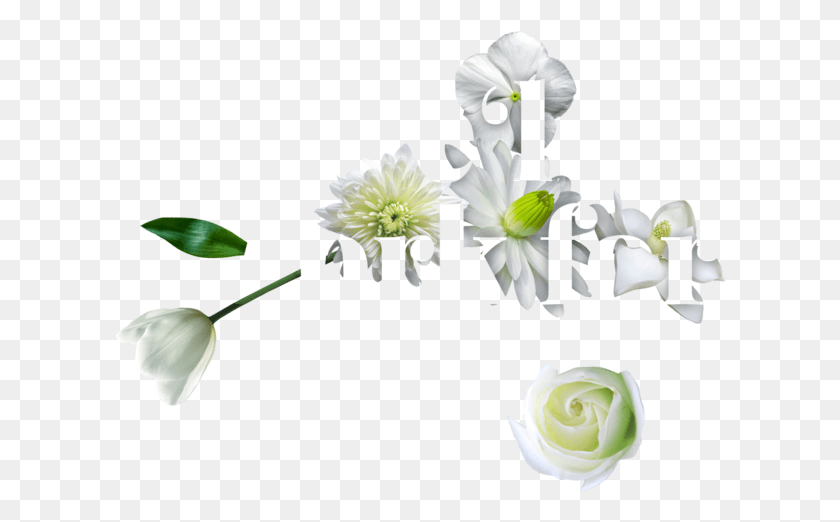 613x462 Bouquet, Plant, Flower, Blossom HD PNG Download